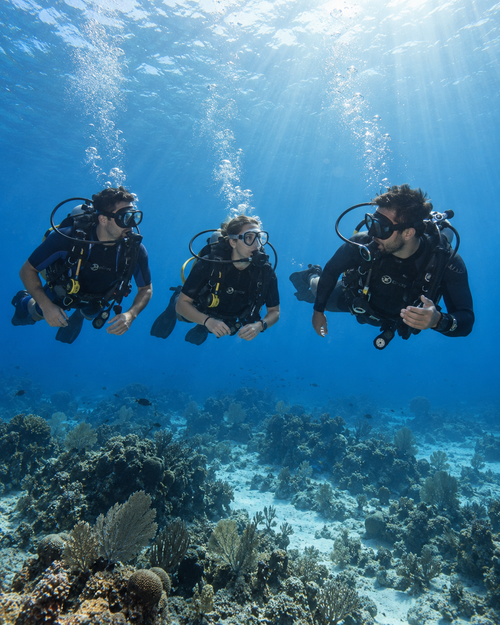 First-time Discover Scuba Diving experience in Cozumel with TATICH